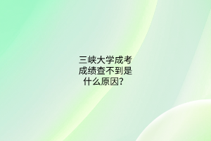 三峡大学成考成绩查不到是什么原因?