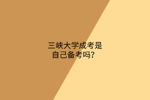 三峡大学成考是自己备考吗?