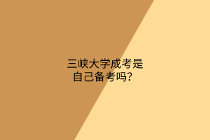 三峡大学成考是自己备考吗？